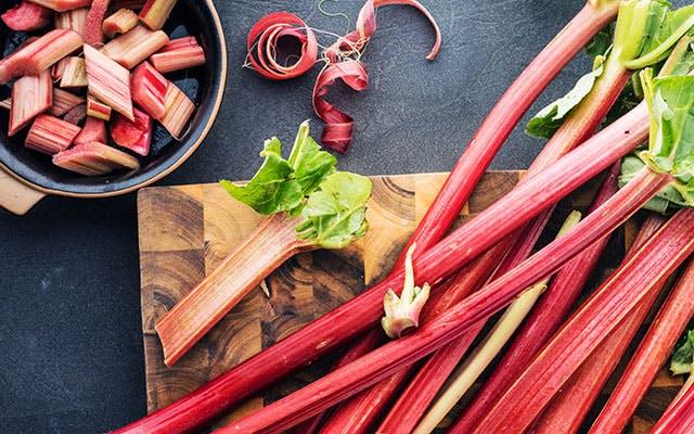 Rhubarb and ginger gin ingredients